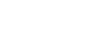Punt Casino Official Logo